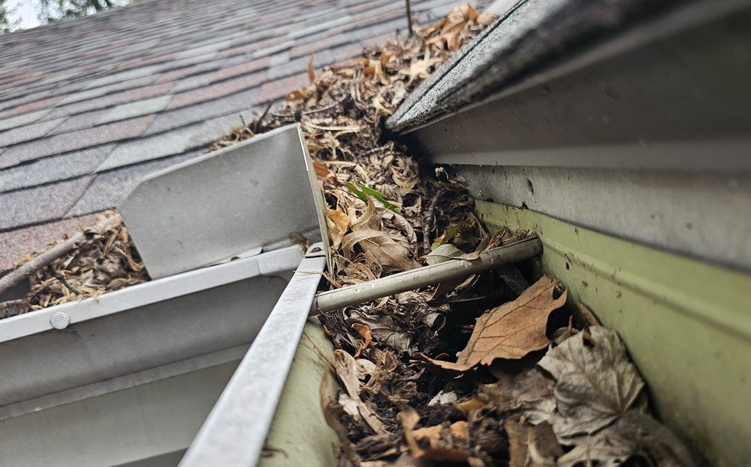 The Dangers of Neglecting Gutter Maintenance