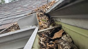 gutter cleaning and maintenance