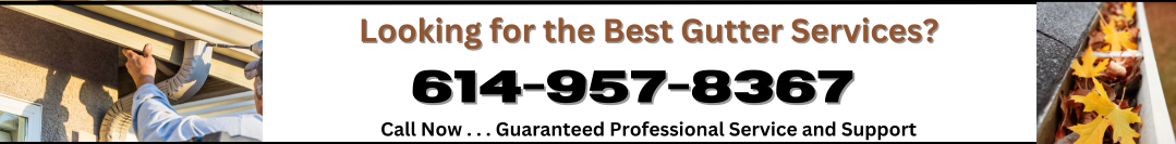 Best Gutter Services3