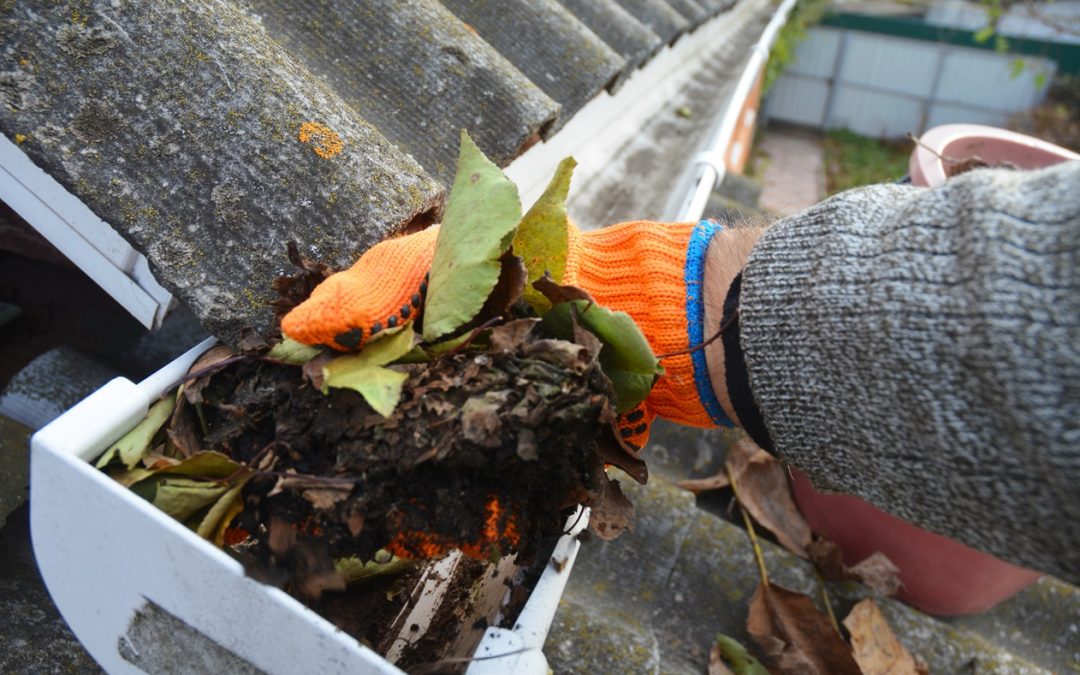 Best Gutter Services in Hays, Montana 59527